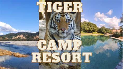 Tiger Camp Resort River Side Resort Best Resorts In Jim Corbett