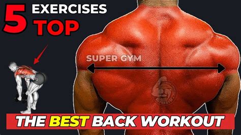 Top 5 Back Exercises For Wider Back Back Workout Youtube