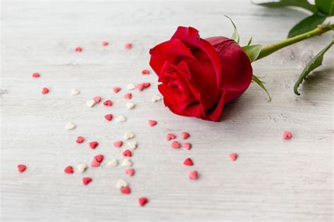 Rosa Con Cuori Per San Valentino Foto Gratis