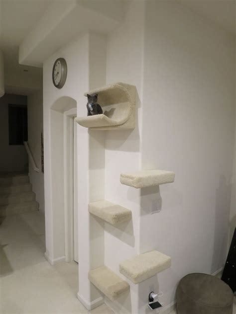 Alibaba.com offers 870 cat wall stairs products. cat wall climbing system installed on a corner | Cat wall ...