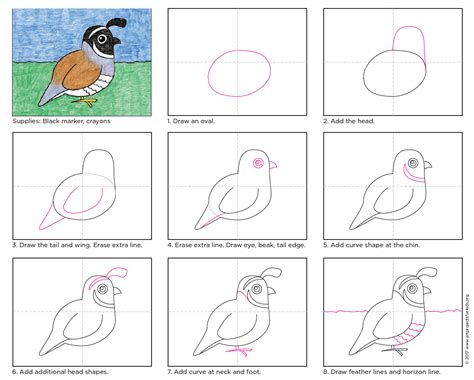 Draw The California State Bird · Art Projects For Kids