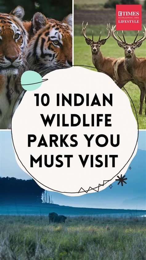 Uncover India's Top 10 Must-Visit Wildlife Parks | Lifestyle - Times of