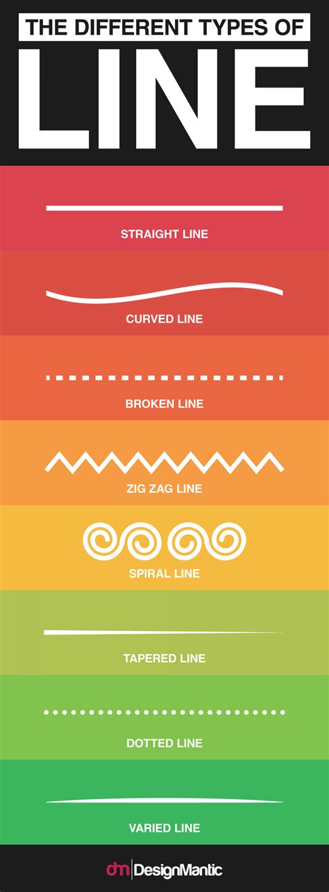 The Different Types Of Line Infographic Different Types Of Lines