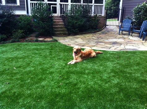 Getting the job done right since 2005! Fake Grass for Dogs & All Pets | Synthetic Turf International®