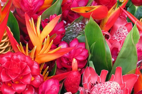 Papeete municipal market (marché de papeete) is the kind of market that's found all over polynesia, full of locals who shop here every day to get the freshest food. Papeete Market, Tahiti IMG_2482 | Photo available for ...
