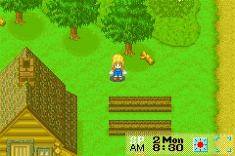 The town has essentially been deserted, but you're never one to back down from a challenge! Harvest Moon: More Friends of Mineral Town Download Game | GameFabrique