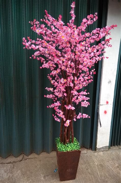 Bunga ini majemuk dan tumbuh dari ujung tangkai membentuk rangkaian membulat, jadi ketika dipajang pasti cantik sekali. Paling Bagus 20+ Gambar Bunga Sakura Warna Pink - Gambar ...