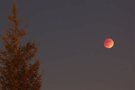 A supermoon lunar eclipse is taking place sunday night/monday morning, and if you miss your chance to see it you'll have to wait until 2033 for the next one. Seen in Natomas: Supermoon Lunar Eclipse | The Natomas Buzz
