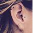 Daith Piercing Everything You Wants To Know  BestTattooGuidecom