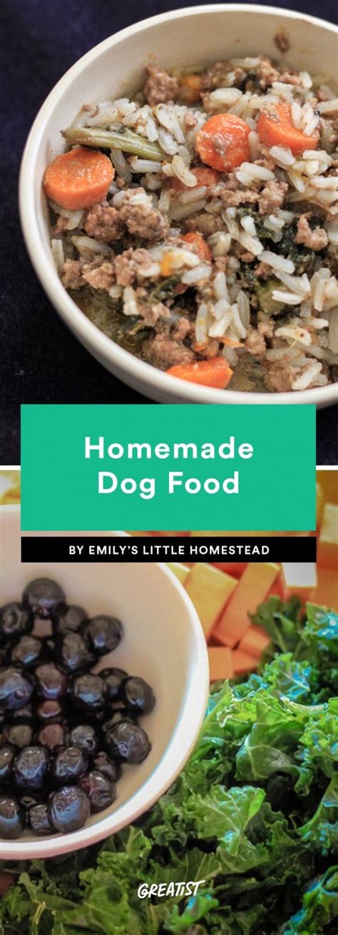 Homemade Dog Food 6 Recipes Delicious Enough For Humans To Try