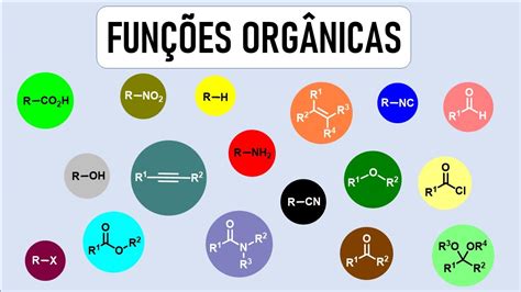 O Que é Unidade Organica