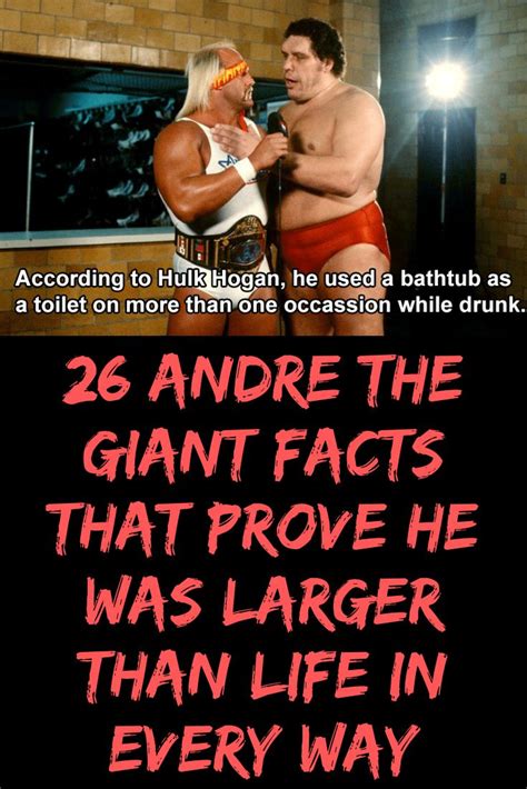 26 Andre The Giant Facts That Prove He Was Larger Than Life In Every