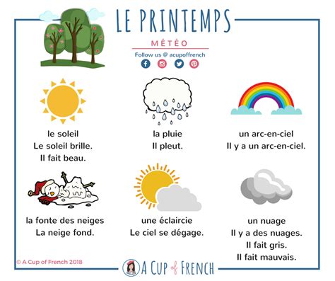 Le Printemps La Météo French Language Lessons French Vocabulary