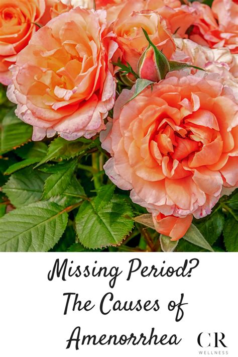 Primary amenorrhea occurs when a woman has not had her the date of your last menstrual period. Missing Period? The Causes of Amenorrhea | Christina the ...