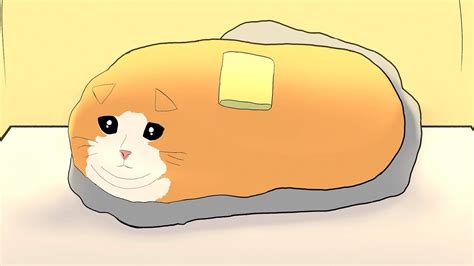 The Story Behind The Butter Cat Meme Animated Youtube
