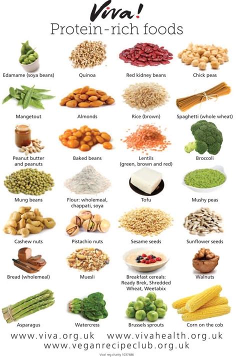 Protein Rich Foods Wallchart High Protein Foods List Protein Foods