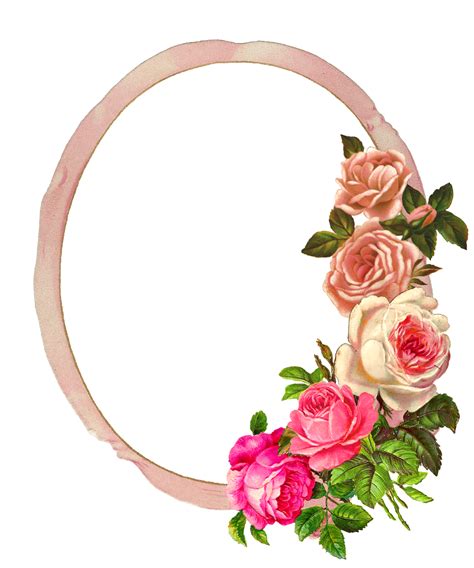 Free Pink Rose Digital Flower Frame Download Project Idea 꽃 프레임 꽃 액자