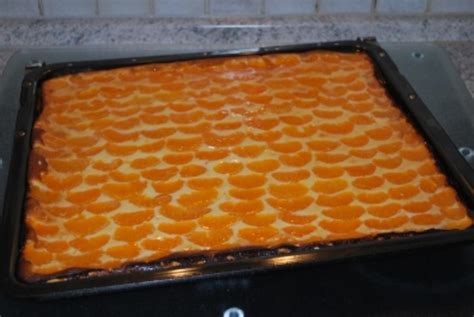 Boysen' s daunenjacke mit echten daunen. Annis Mandarin-Quark-Kuchen vom Blech - Rezept - kochbar.de