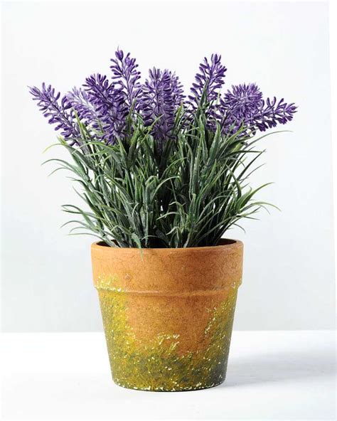 Paper Potted Lavender H9 Gs 0330170tsfj Silk Flowers Factory