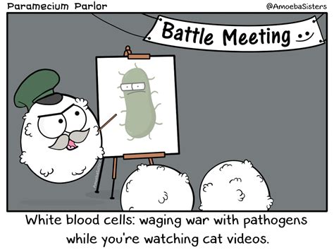 Paramecium Parlor Comics Science With The Amoeba Sisters