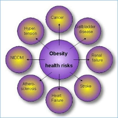 Risk Of Obesity Charts And Posters Hubpages