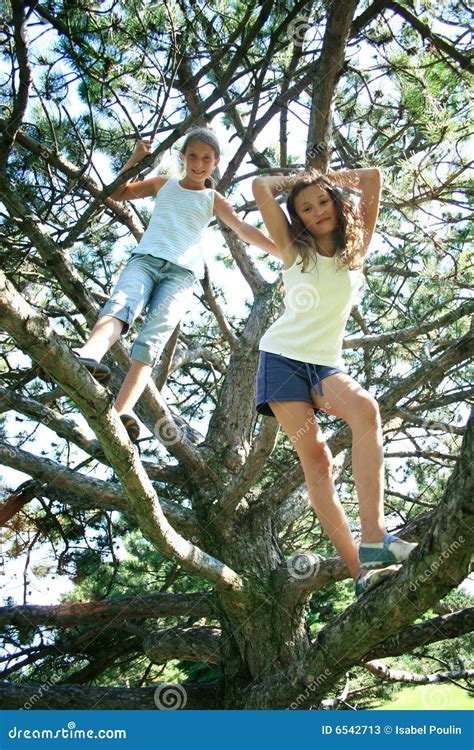 Two Girls In Tree Stock Image Image Of Plant Girl Preteen 6542713