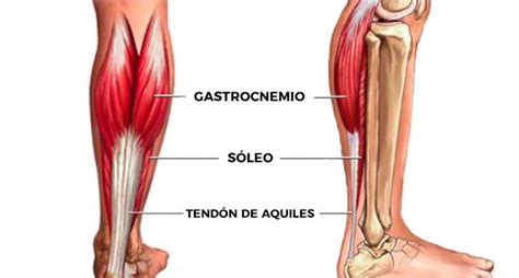 Rutina de piernas para gym: los mejores y peores ejercicios