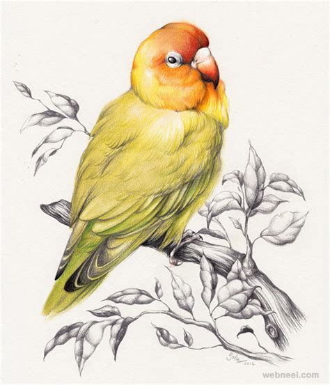Scroll through our selection of bird drawings, featuring all kinds of birds. Pencil Drawing Pictures Of Birds at GetDrawings | Free ...
