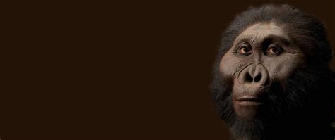 Australopithecus Garhi Afán Por Saber