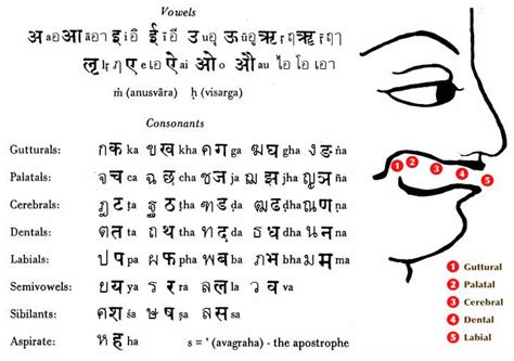 Sanskrit Alphabet Chart My XXX Hot Girl