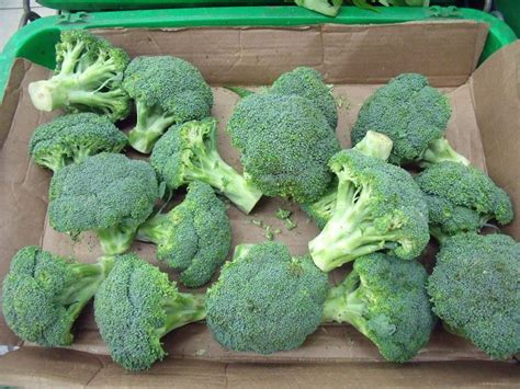 More Reasons To Eat Your Broccoli Reallygood