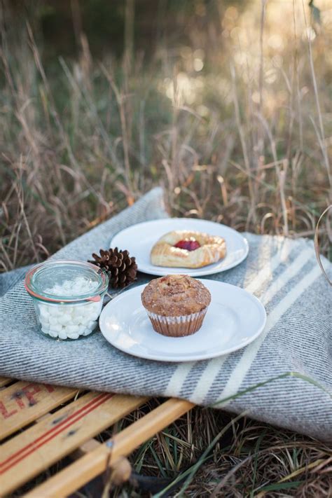 11 Best Images About Winter Picnic Ideas On Pinterest Simple The