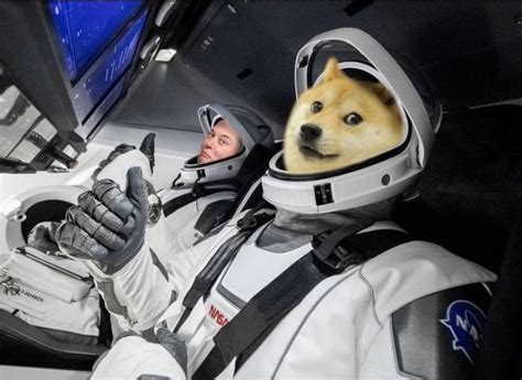 Spacex To Launch Doge 1 To The Moon Live Trading News
