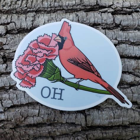 Ohio State Bird And Flower Northern Cardinal And Scarlet Etsy