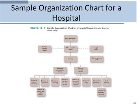 Sample Hospital Organizational Chart A Visual Reference Of Charts