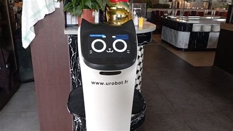 Bretagne Voici Bella Le Serveur Robot Qui Amuse Les Clients De Ce
