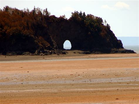 Camping reservation virtual tour weather. Scotia Pine Campground ― RV Park Review — RV Camping Info