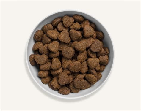 Check spelling or type a new query. Canagan Large Breed Free-Run Chicken Grain Free Food For Dogs