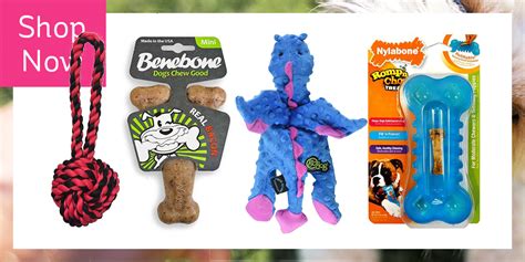 20 Best Indestructible Dog Chew Toys Long Lasting Squeaky And Plush