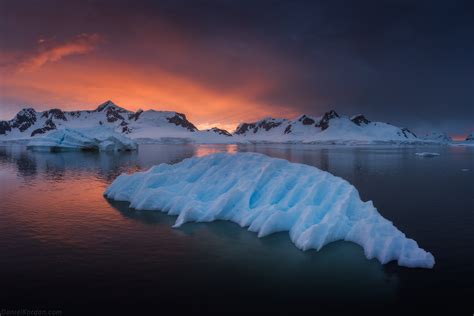 Antarctica Photography Expedition 2021 & 2022 with Daniel...