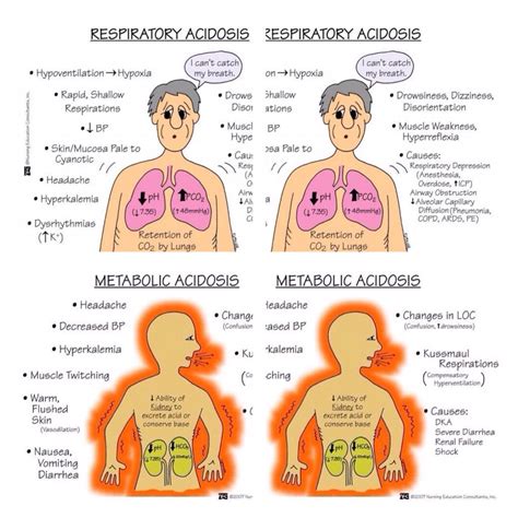 Metabolic Acidosis Respiratory Acidosis Nursing School Studying