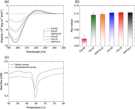 Circular Dichroism Cd Spectroscopy And Differential Scanning