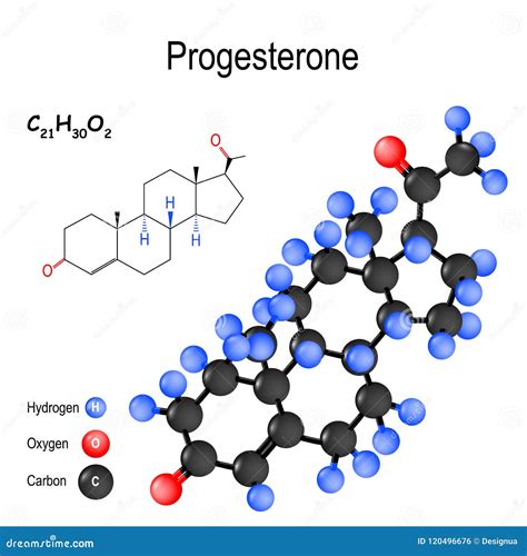 Chemical Formula And Model Of The Progesterone Stock Vector
