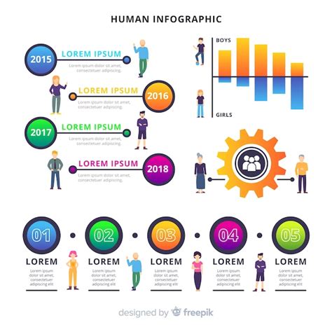 Human Infographic Free Vector
