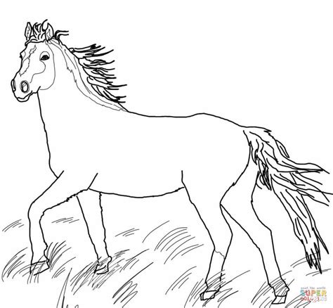 Mustang Wild Horse Coloring Page Free Printable Coloring Pages