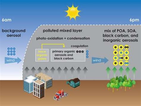 A Chemistry Tale Of Two Carbons Field Study Of Urban Natural