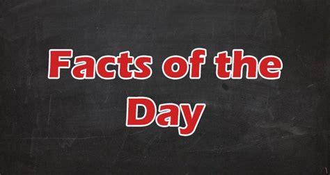 Fact Of The Day Interesting Facts Of The Day Daily Facts