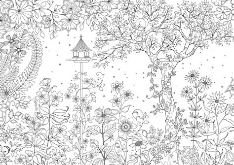 Coloriage Adulte Nature Zen Anti Stress