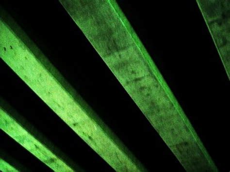 Green Support Tinted Underneath Bridge Gree Supports Hd Wallpaper