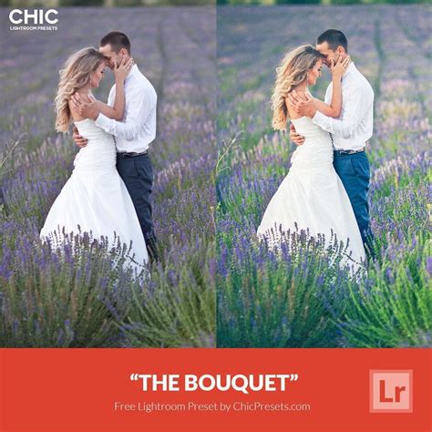 This list of the best free and paid sleeklens provides presets for lightroom, photoshop, and luminar. Free Lightroom Preset | The Bouquet - Download Now!